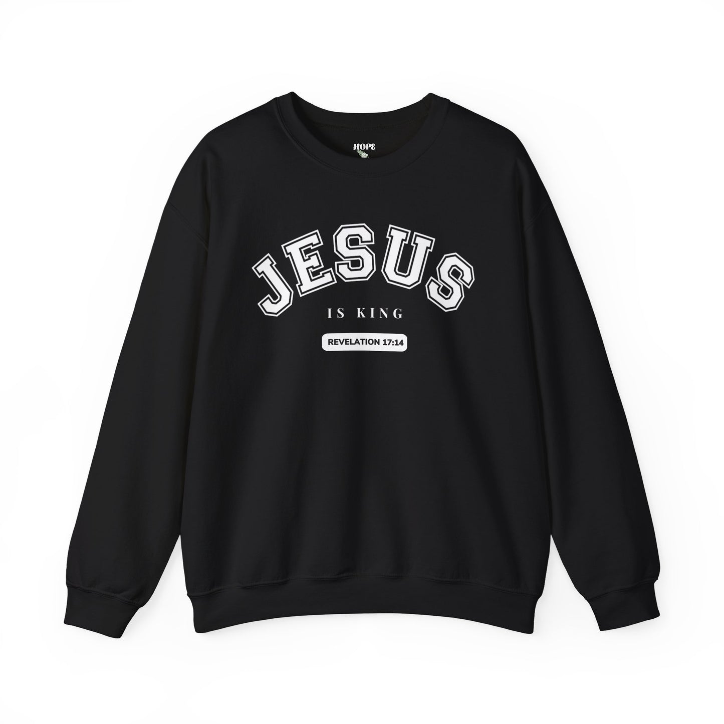 JESUS IS KING -Inspired Unisex Crewneck Sweatshirt | JESUS IS KING | Revelation 3174