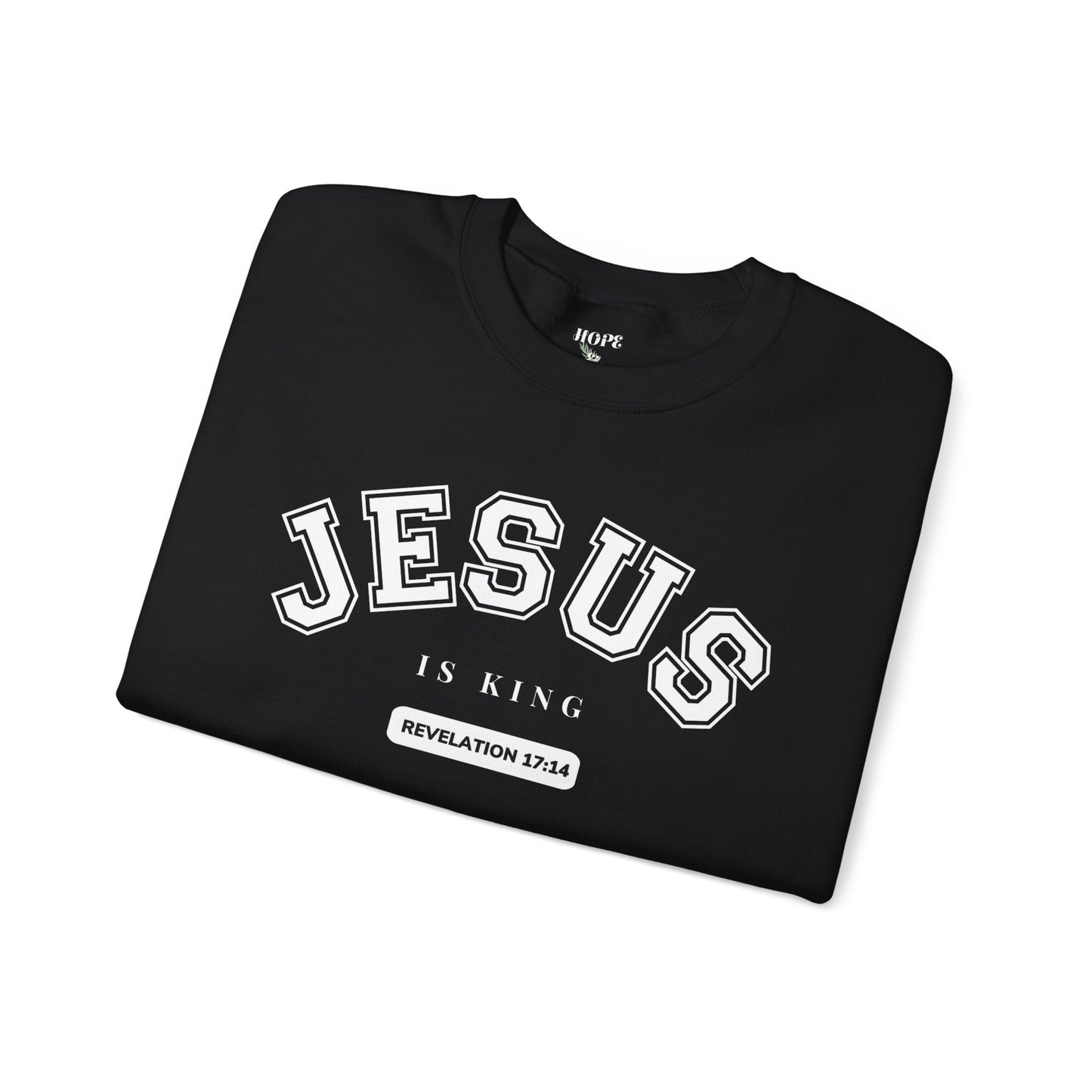 JESUS IS KING -Inspired Unisex Crewneck Sweatshirt | JESUS IS KING | Revelation 3174